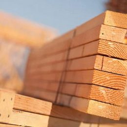 cat6200004